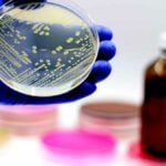 antibiotico. coltura microbiologica di batteru