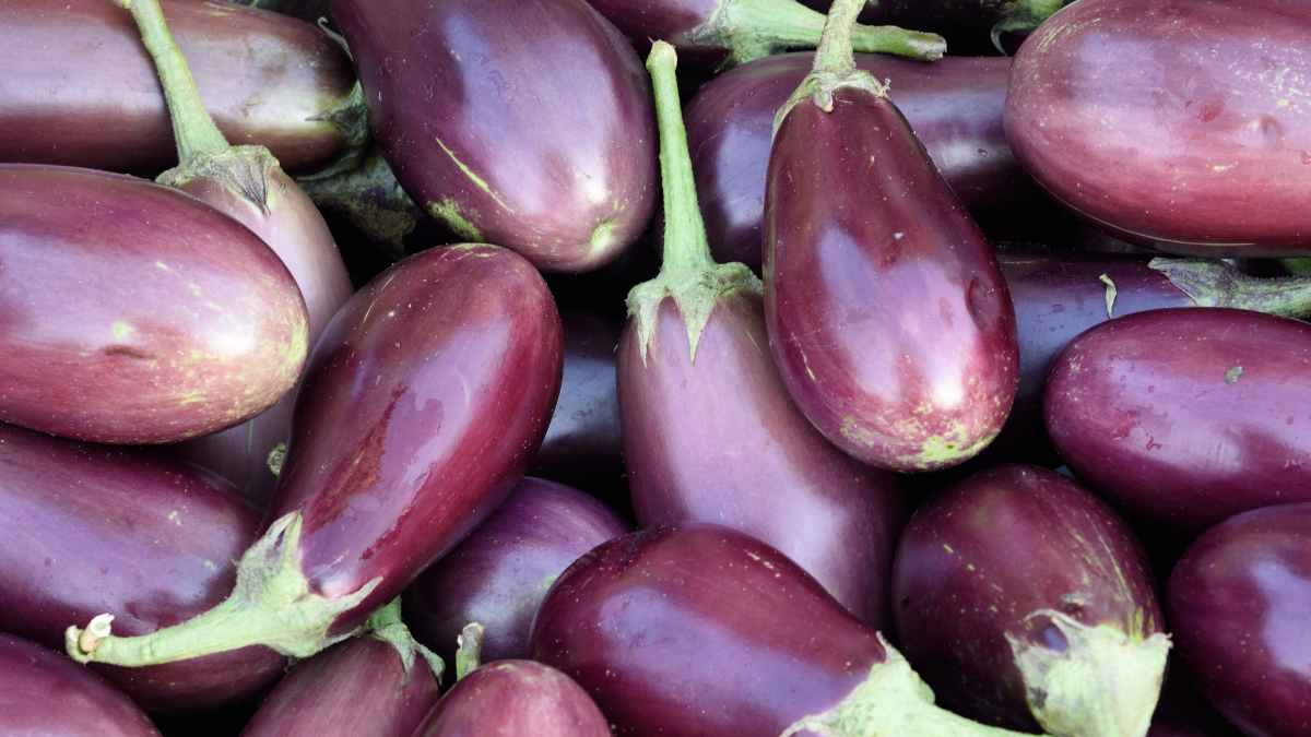 alcune melanzane fresche