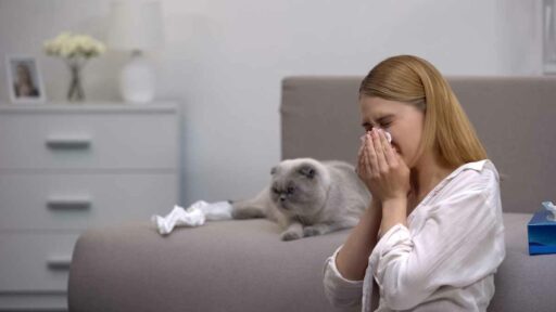 l'antistaminico è fondamentale per contrastare gli attacchi allergici