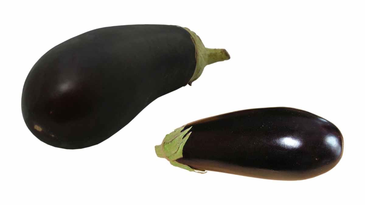 melanzane nere fresche