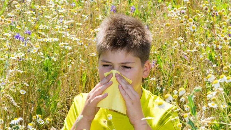 un antistaminico è utile per chi soffre di allergia ai pollini