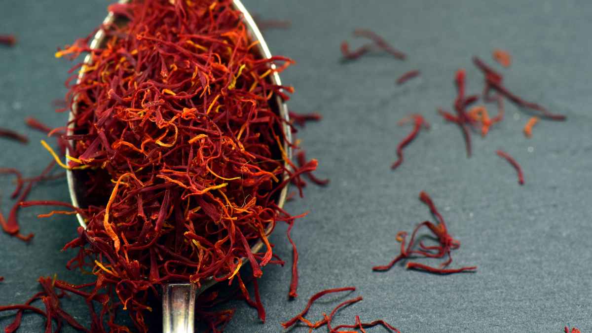 zafferano in stigmi sul cucchiaino