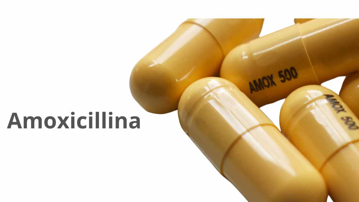 Cosa non mangiare con antibiotico amoxicillina?