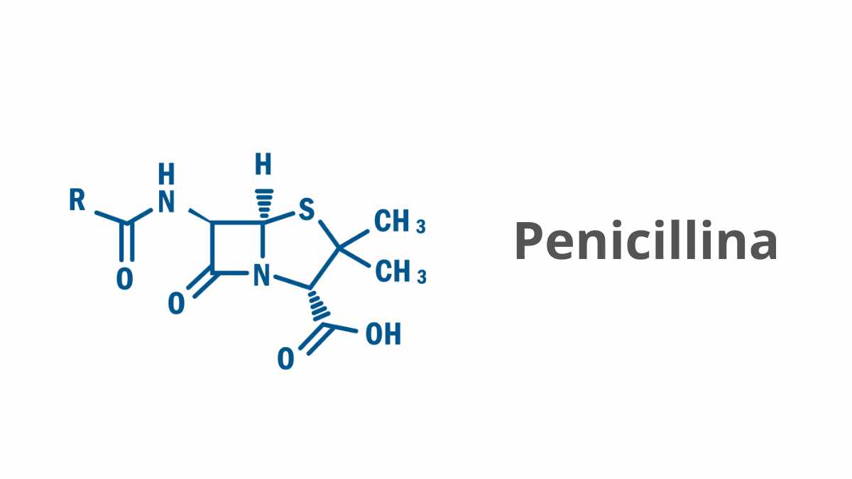 Come sciogliere la penicillina?