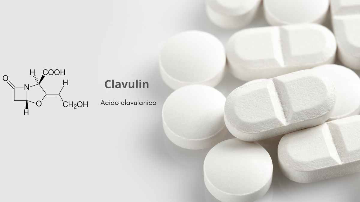 Quando prendere l’antibiotico Clavulin?