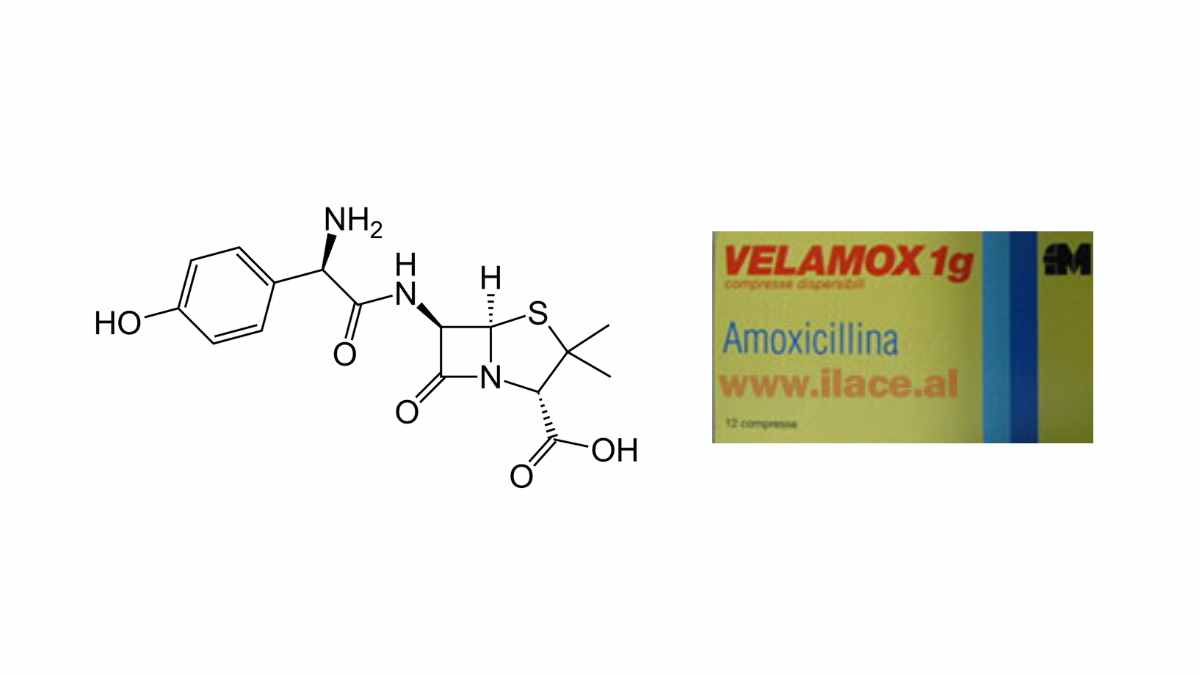 Quali sono le dosi di Velamox?