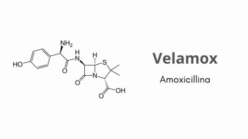 Velamox - principio attivo