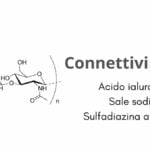 Connettivina Plus - principio attivo