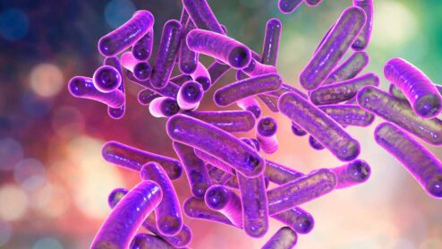 Qual è il miglior disinfettante delle vie urinarie?