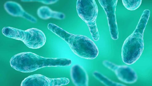 Infezioni batteriche delle vie urinarie: tipologie, cause, sintomi e cure