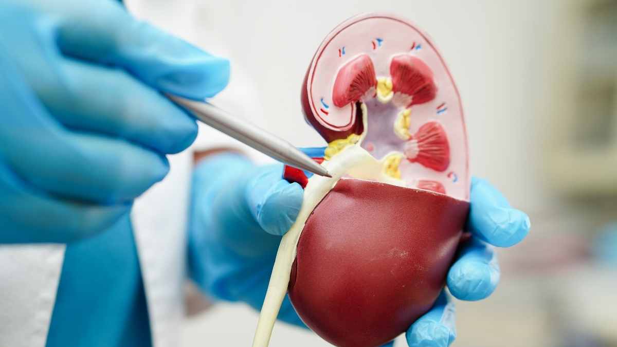 Infezioni urogenitali