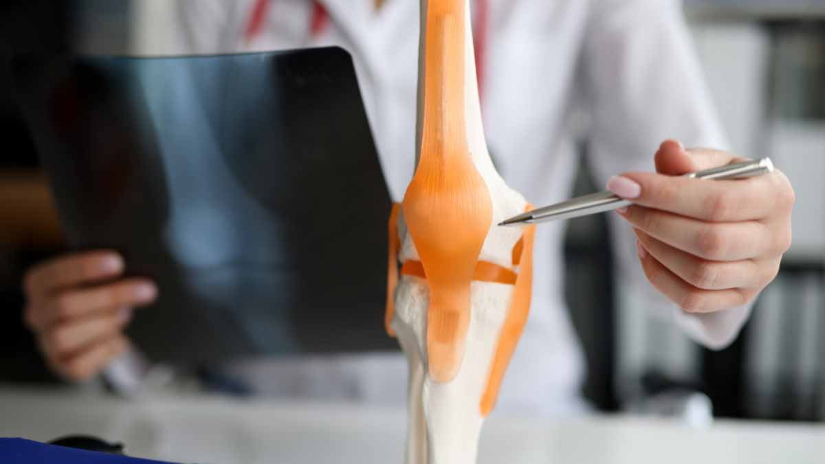 modello anatomico in uso in ambulatorio di Reumatologia