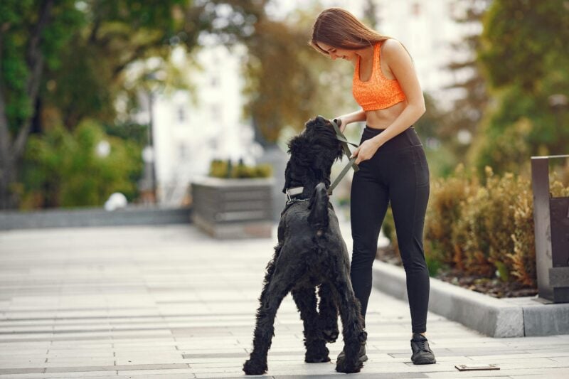 Camminare 3 km al Giorno: Benefici per la Perdita di Peso