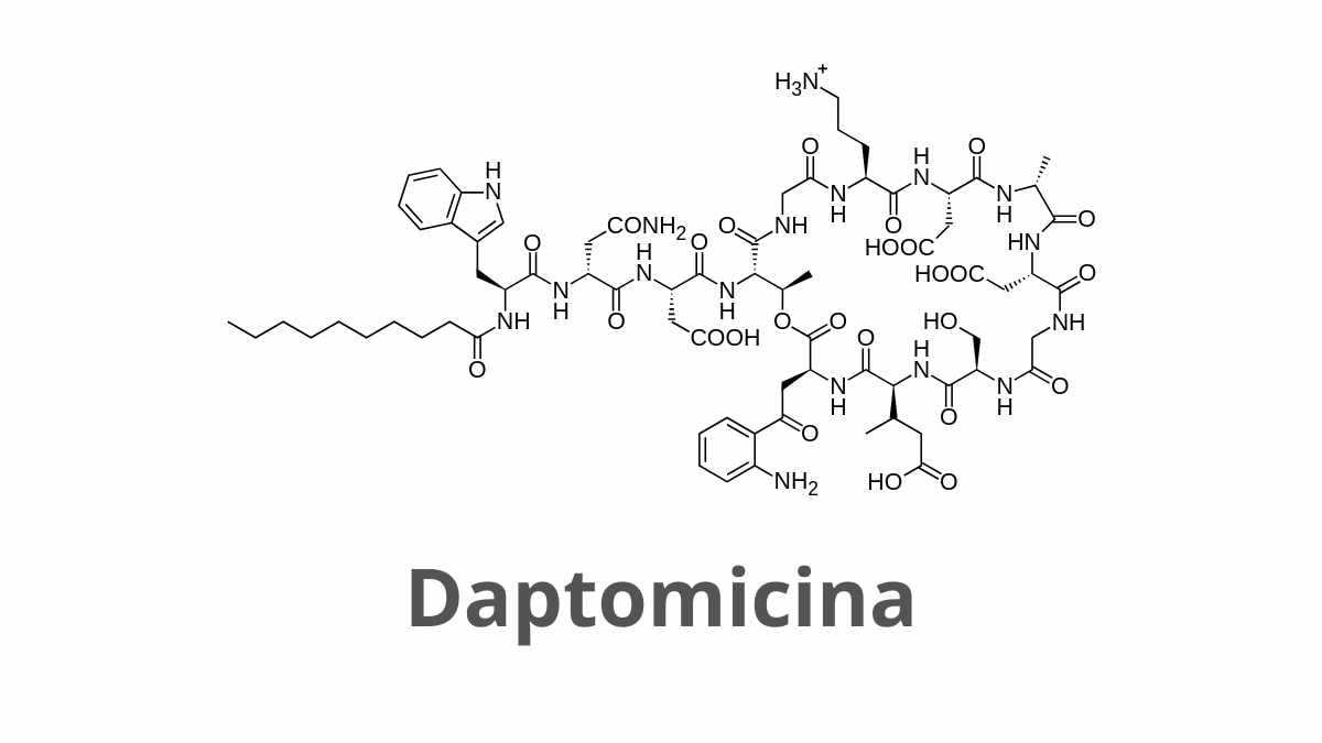 Daptomicina