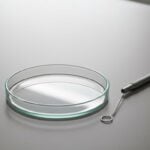 Helicobacter pylori: Il batterio dello stomaco