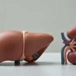 Processi di smaltimento dei farmaci nel corpo umano