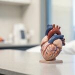 Strategie per Calmare la Fibrillazione Atriale