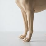 Riconoscere una Ferita Infetta nel Cane