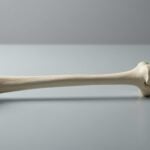 Dibase e osteoporosi: come usarlo in sicurezza per ossa pi&ugrave; forti