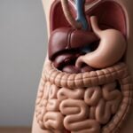 Enterogermina per gonfiore, colon irritabile e intestino pigro: quale formulazione scegliere