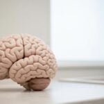 Gliatilin dopo ictus o trauma cranico: indicazioni reali, tempi e aspettative