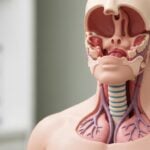 Metodi per Disinfiammare le Vie Respiratorie