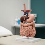 Metodi per sbloccare il tappo di feci