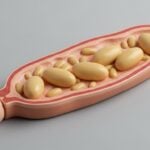 Riconoscere la Giardia nel cane: sintomi e diagnosi
