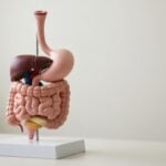 Soluzioni per sbloccare l'intestino bloccato