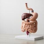 Come uscire da un blocco intestinale? Segnali di allarme e cosa fare subito