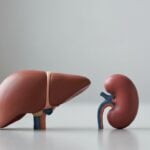 Come vengono eliminati i farmaci dall’organismo: assorbimento, metabolismo ed escrezione