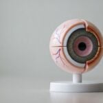 Fumo e rischio di cecità: meccanismi, malattie oculari e prevenzione