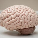 Gliatilin per vertigini e instabilità nella marcia: quando è indicato e quando no
