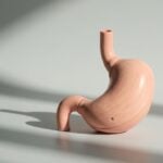 Cosa fa l&rsquo;acido ialuronico allo stomaco: effetti, usi e sicurezza