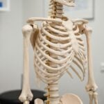 Cosa fa l’endocrinologo per l’osteoporosi: visite, esami e terapie