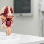 Cosa fare se il catarro non si scioglie: rimedi, farmaci e quando preoccuparsi
