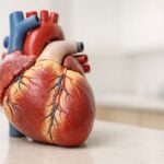Quali sono i sintomi di insufficienza cardiaca?