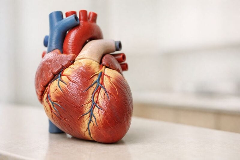 Quali sono i sintomi di insufficienza cardiaca?