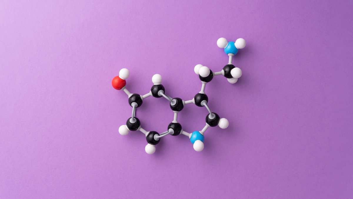 Cosa mangiare per aumentare la serotonina