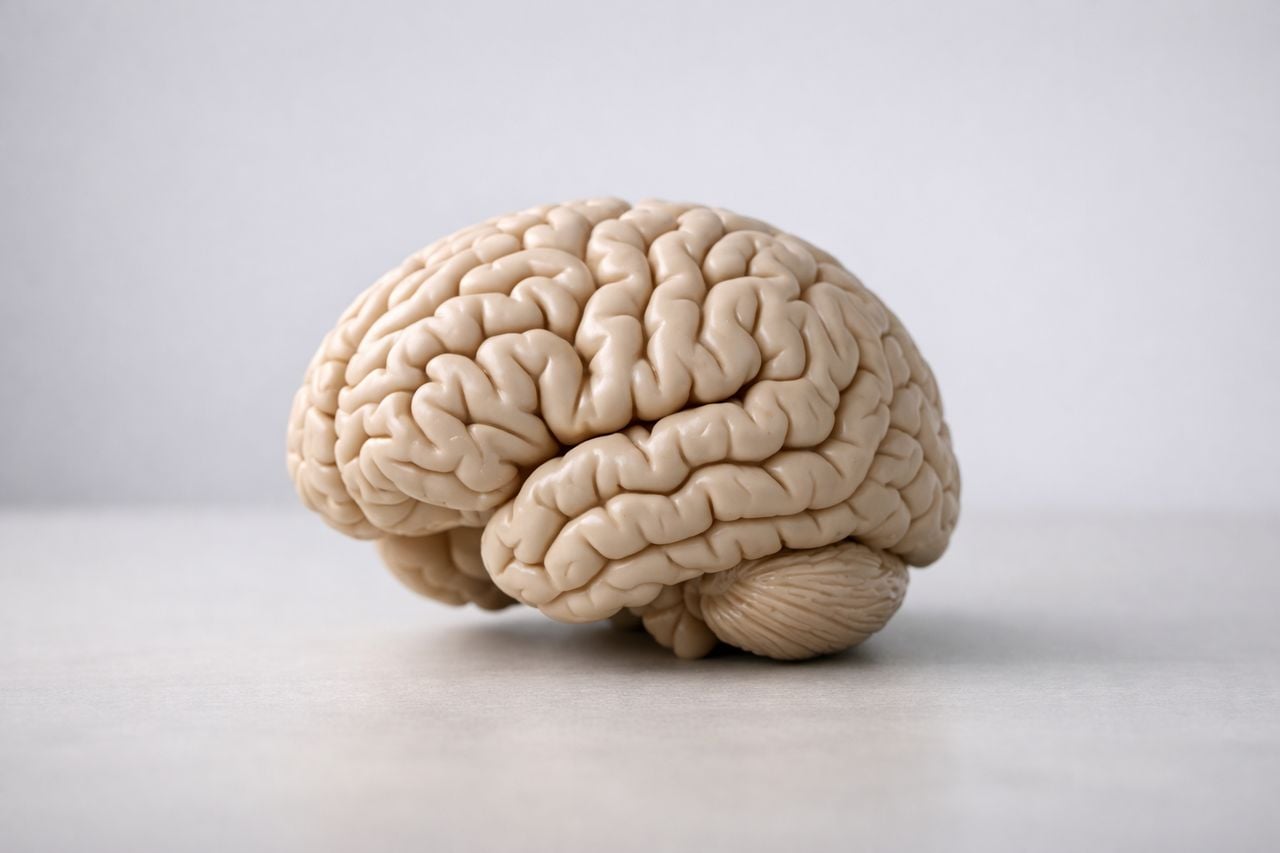 Che cos'è la schizofrenia?