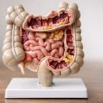 Abuso di lassativi: può mettere a rischio vita e cuore