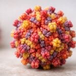 Allarme Dengue in Italia? Cosa cambia dopo i focolai 2024