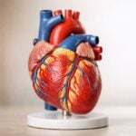 Glifozine: il farmaco che taglia ricoveri e morti nello scompenso