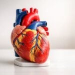 Infarto STEMI: ogni minuto conta — cosa fare subito
