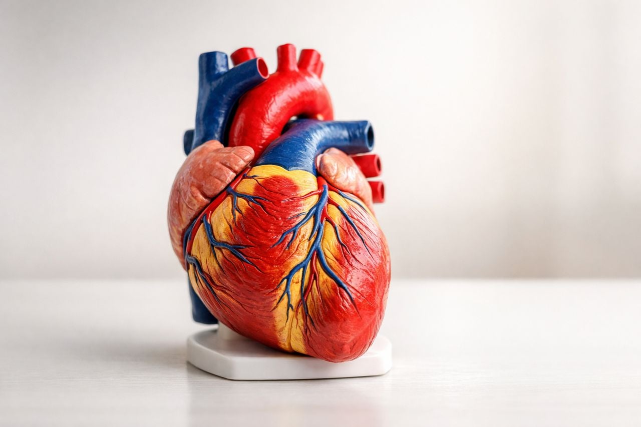 Infarto STEMI: ogni minuto conta — cosa fare subito