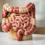 Non usare antidiarroici: quando le feci molli sono pericolose