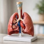 Quando l'influenza diventa pericolosa: la sovrainfezione batterica