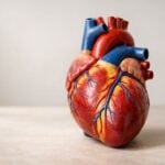 Sorpresa: eplontersen efficace solo senza stabilizzatori TTR