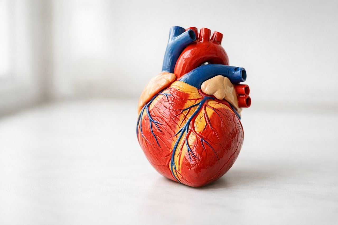 Una compressa che cambia il cuore: la verit&agrave; sulla digossina
