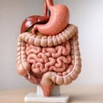 Bambini ricoverati per salmonella a Brindisi: quali sintomi non ignorare